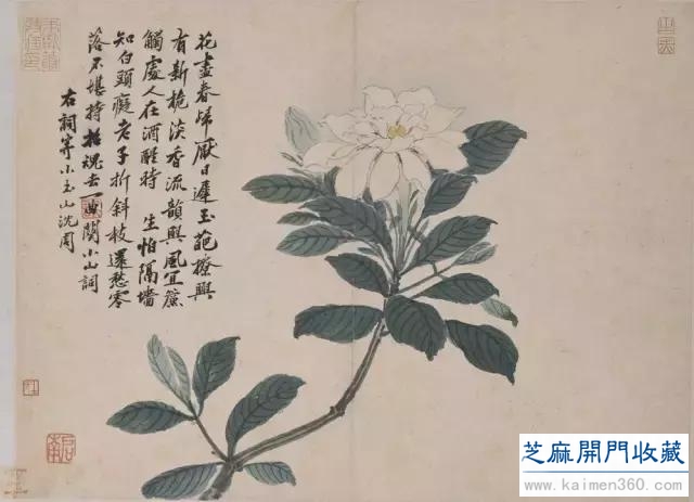 沈周：飘然世外的“神仙中人”（多图）