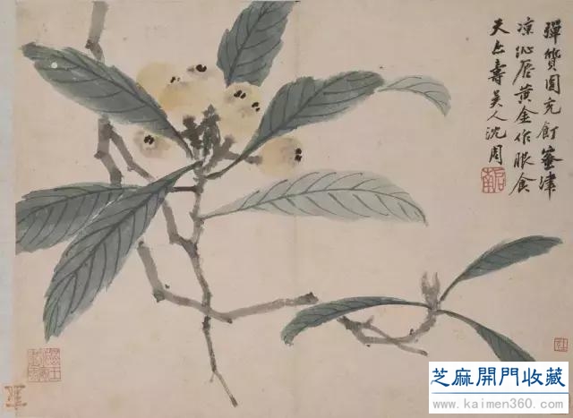 沈周：飘然世外的“神仙中人”（多图）