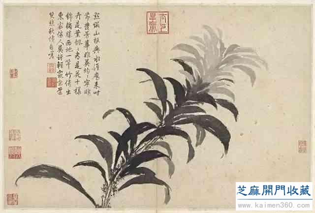 沈周高清作品全集200张，养眼！