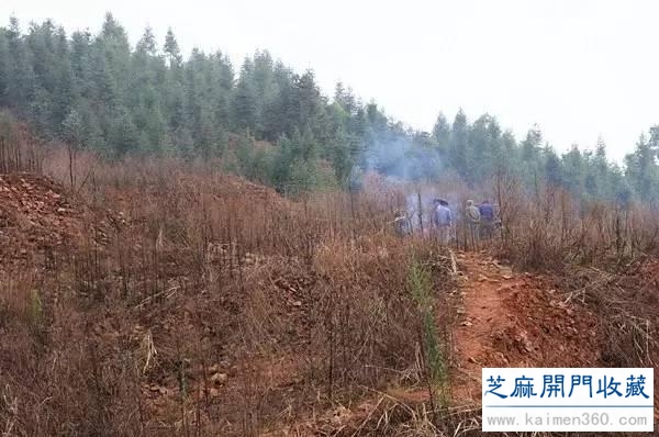 宋朝皇室御用茶具的前世今生