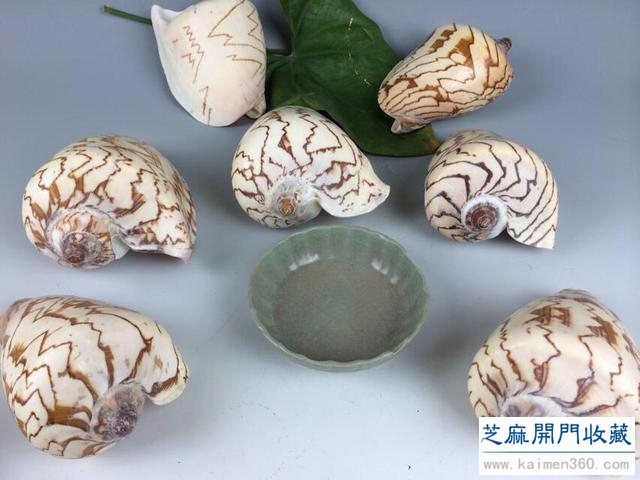 龙泉窑三大窑系：金村窑、大窑、溪口窑