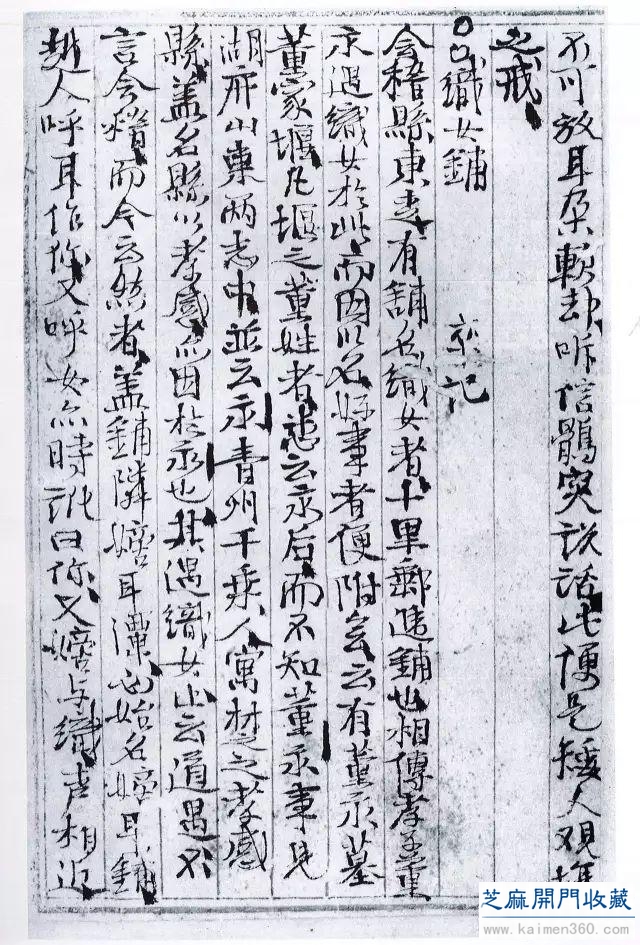 「经典赏析」徐渭杂书稿合册