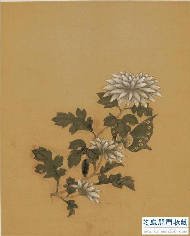 这画得太美了，春天赏花不错。