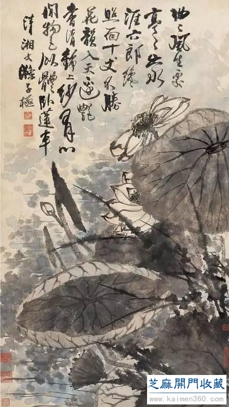 出淤泥而不染——中国历代名家画荷