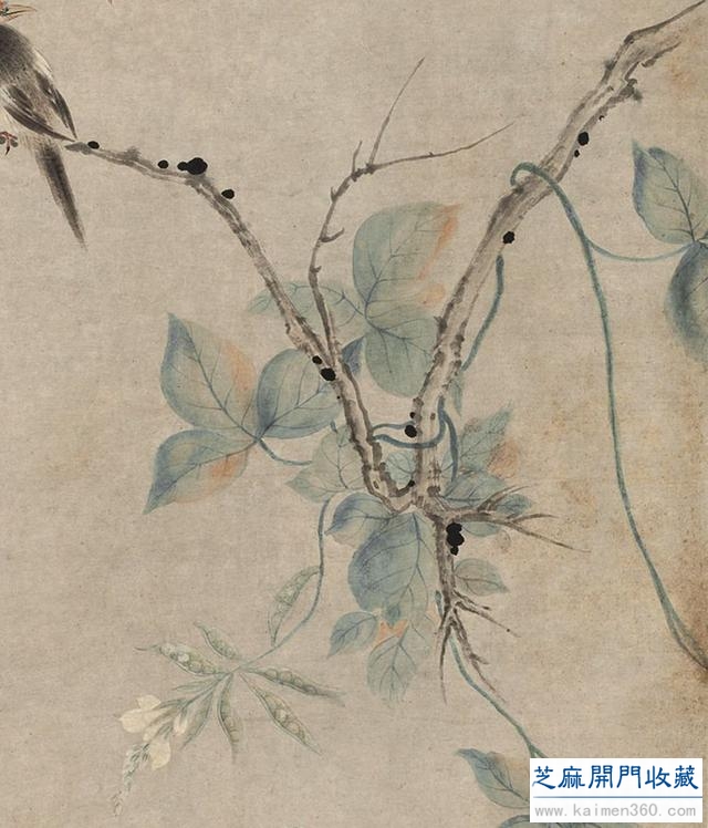 「国画精赏」清 · 华嵒《朱菊秋禽图》