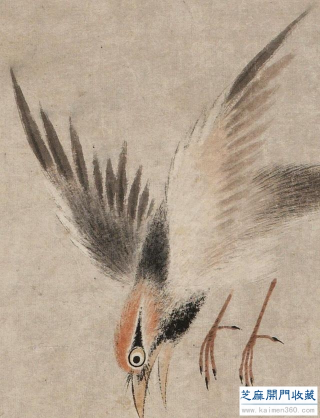 「国画精赏」清 · 华嵒《朱菊秋禽图》