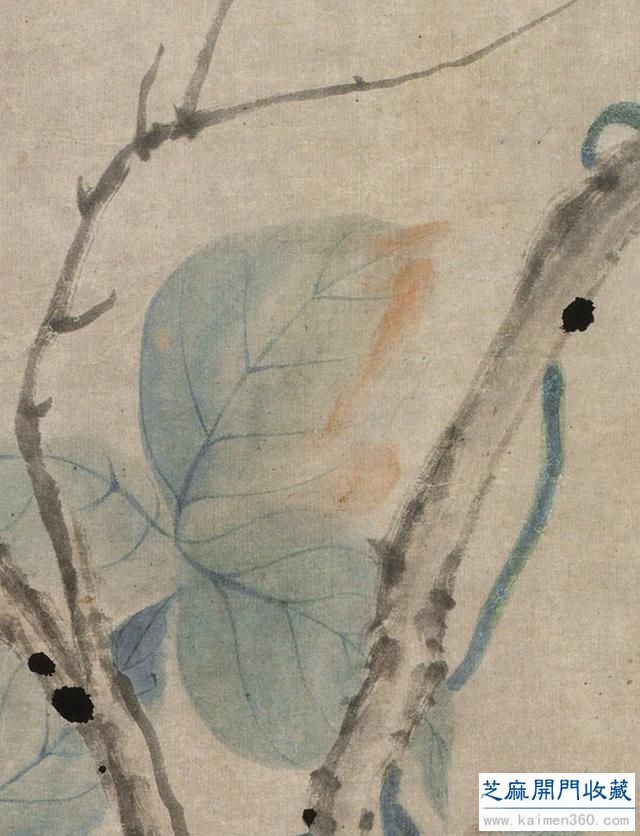 「国画精赏」清 · 华嵒《朱菊秋禽图》