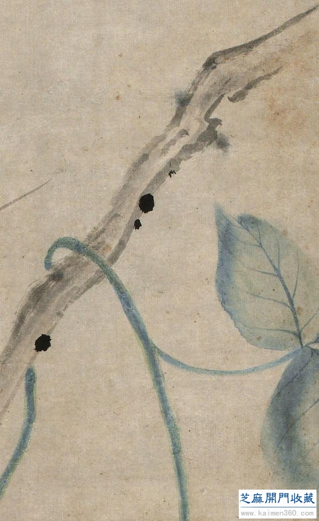 「国画精赏」清 · 华嵒《朱菊秋禽图》