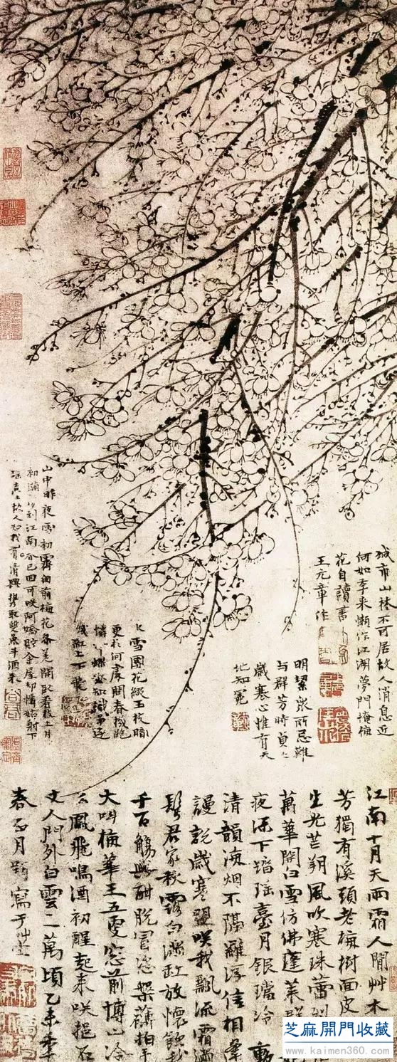 历代画的最好的梅花都在这里了