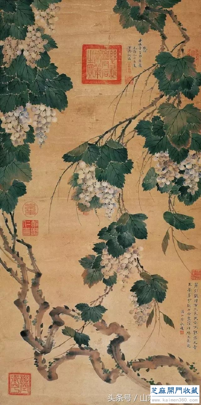书画名家：历代名家笔下的葡萄
