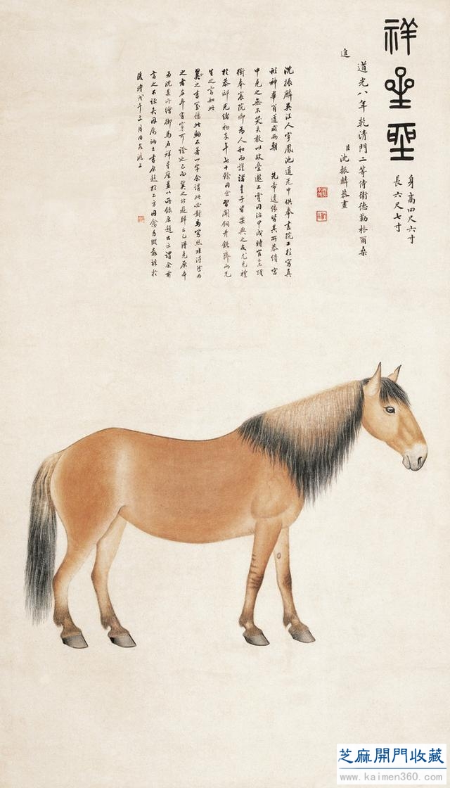 沈振麟（清）花鸟动物作品欣赏