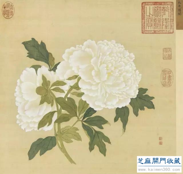 细赏价值1.7亿万花之王——牡丹花