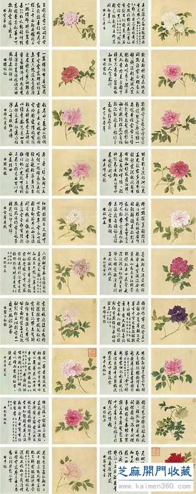 细赏价值1.7亿万花之王——牡丹花