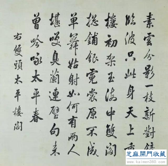 细赏价值1.7亿万花之王——牡丹花