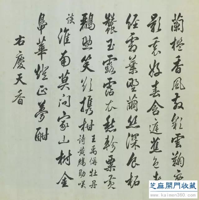 细赏价值1.7亿万花之王——牡丹花