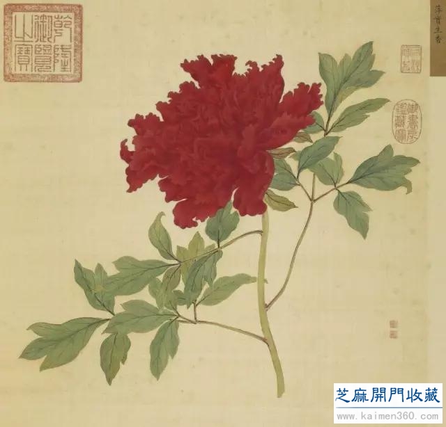 细赏价值1.7亿万花之王——牡丹花