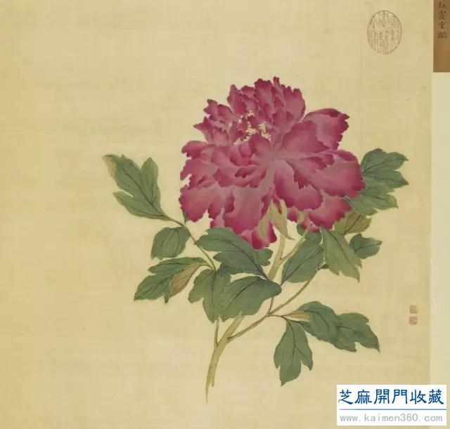 细赏价值1.7亿万花之王——牡丹花