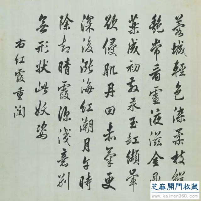 细赏价值1.7亿万花之王——牡丹花