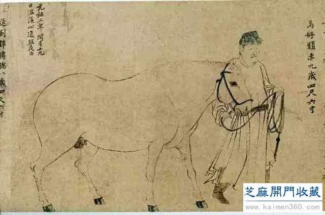 名画欣赏：古今名家笔下的马，纵横驰骋