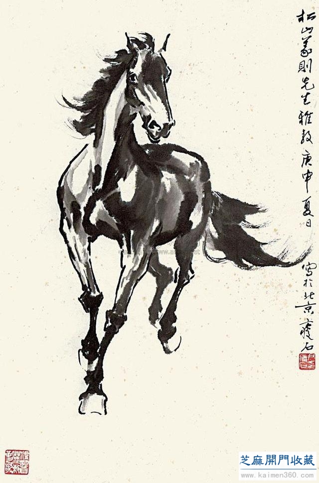 尹瘦石画马作品欣赏