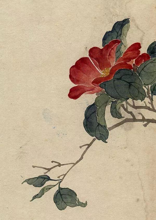 精美｜缪谷瑛百花图集与菊谱（130幅）