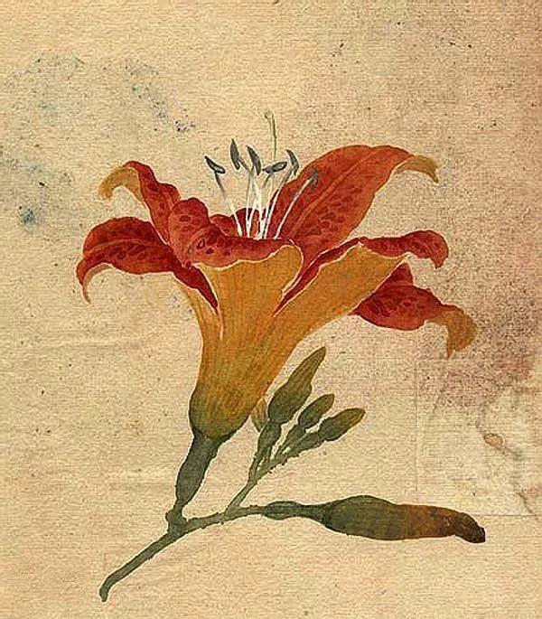 精美｜缪谷瑛百花图集与菊谱（130幅）