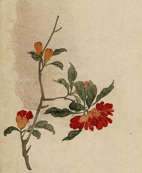 精美｜缪谷瑛百花图集与菊谱（130幅）