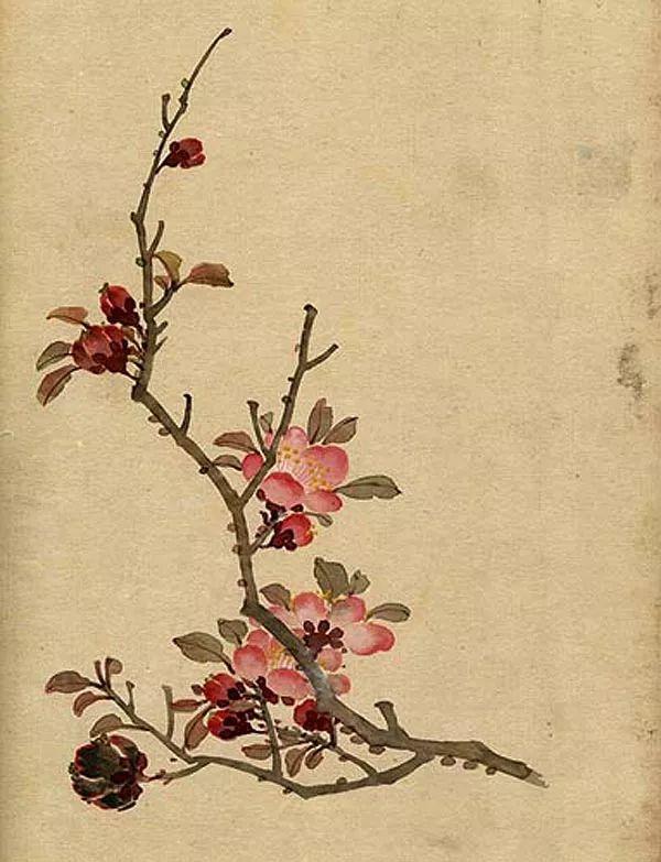精美｜缪谷瑛百花图集与菊谱（130幅）