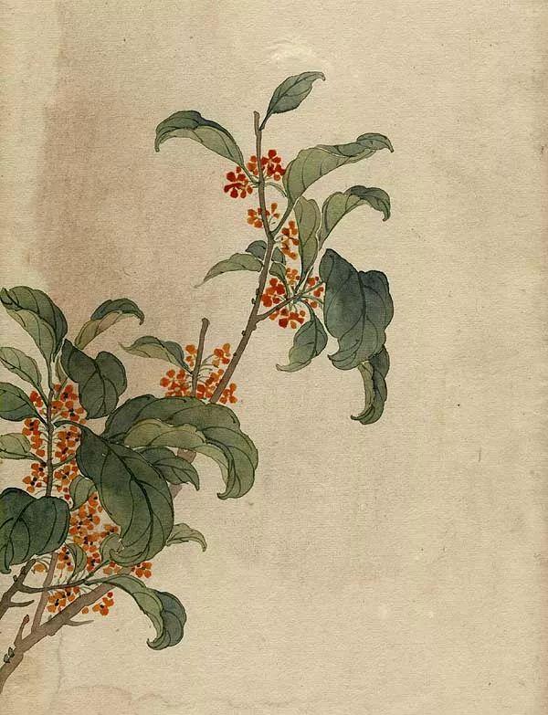 精美｜缪谷瑛百花图集与菊谱（130幅）
