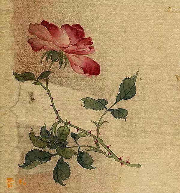 精美｜缪谷瑛百花图集与菊谱（130幅）