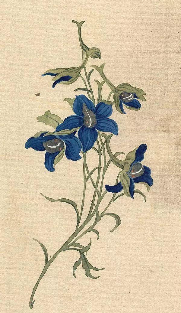 精美｜缪谷瑛百花图集与菊谱（130幅）