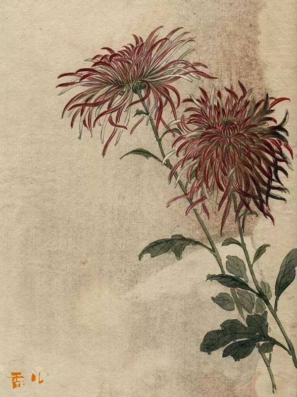 精美｜缪谷瑛百花图集与菊谱（130幅）