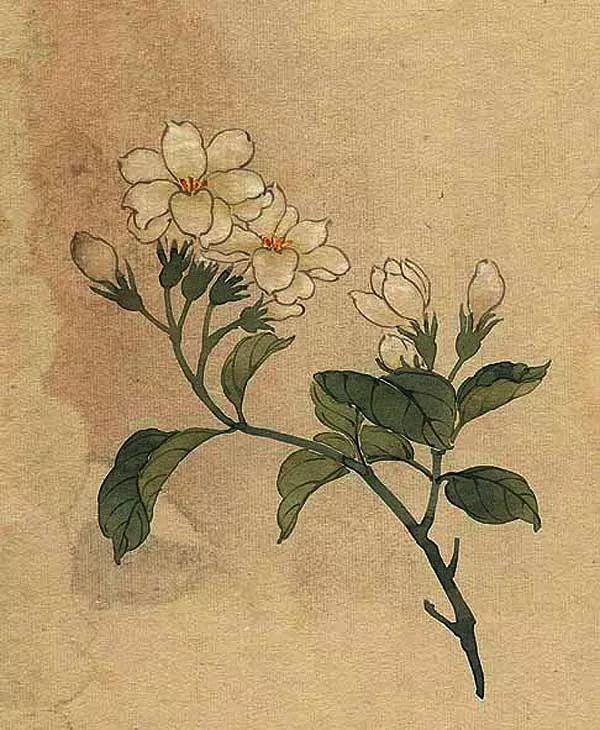 精美｜缪谷瑛百花图集与菊谱（130幅）