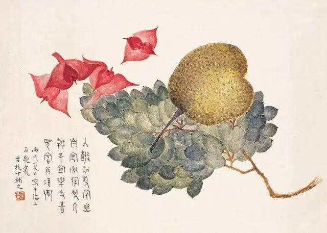 他是西泠印社创始人，也是民国画水果最好的画家！