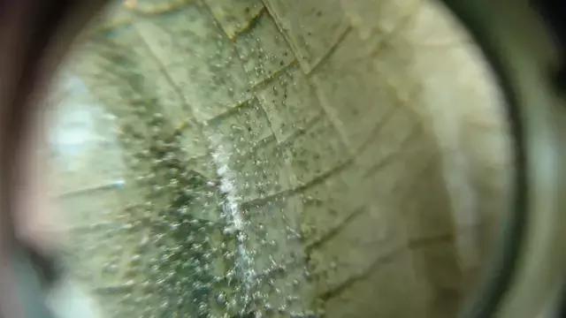 唐诗宋“瓷”，中国有名的瓷器都在这里了！