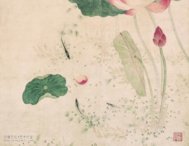 逐日读一画｜清 吴应贞《荷花图》