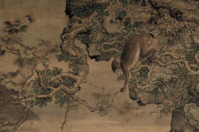 逐日读一画｜清 沈铨《蜂猴图》