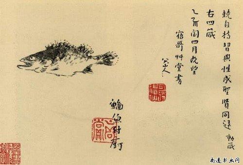 看了他的奇葩鸟，让我辈怎么画鸟好呢