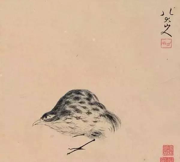 看了他的奇葩鸟，让我辈怎么画鸟好呢