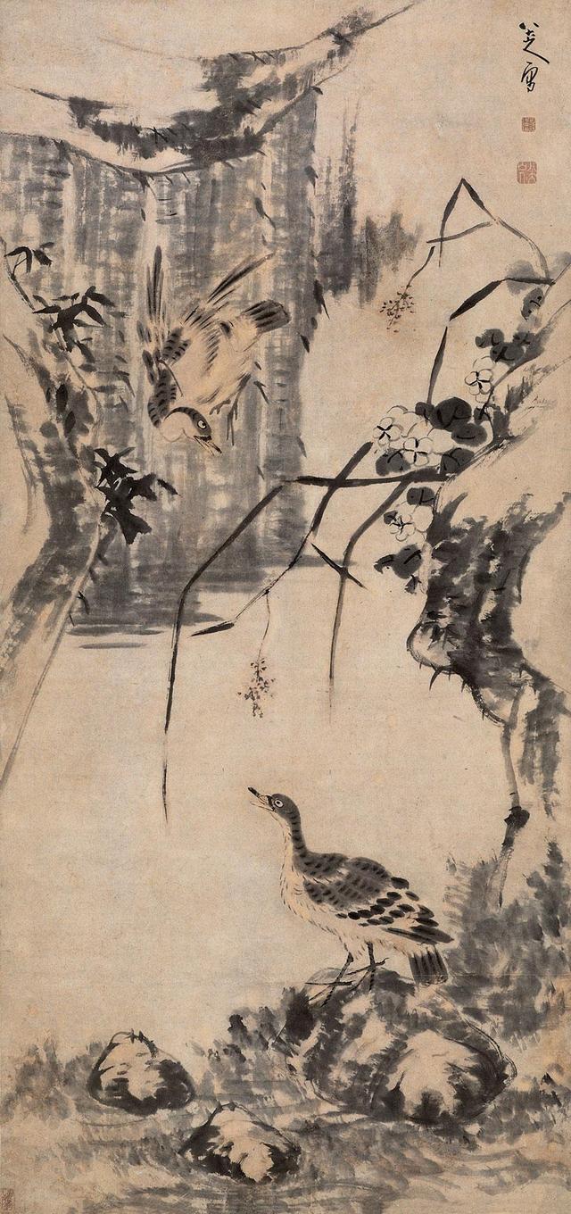 看了他的奇葩鸟，让我辈怎么画鸟好呢