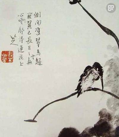 看了他的奇葩鸟，让我辈怎么画鸟好呢