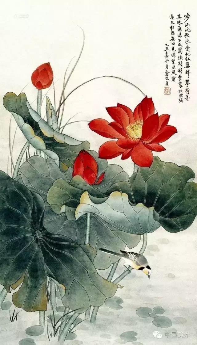 俞致贞画荷，清秀怡人，飘香万里！