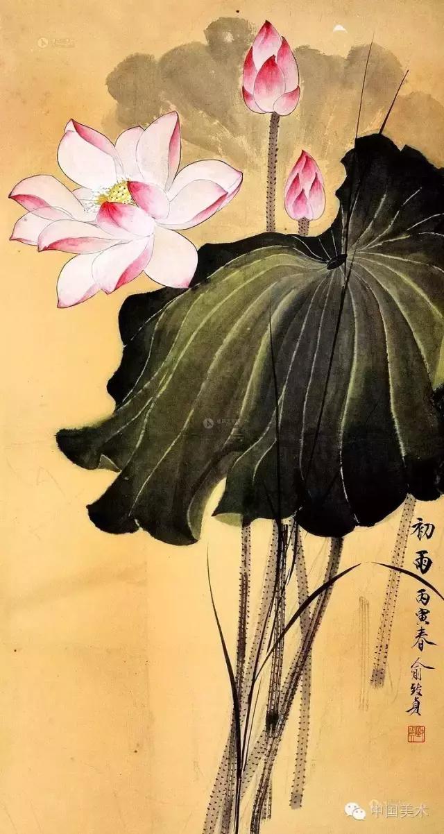 俞致贞画荷，清秀怡人，飘香万里！