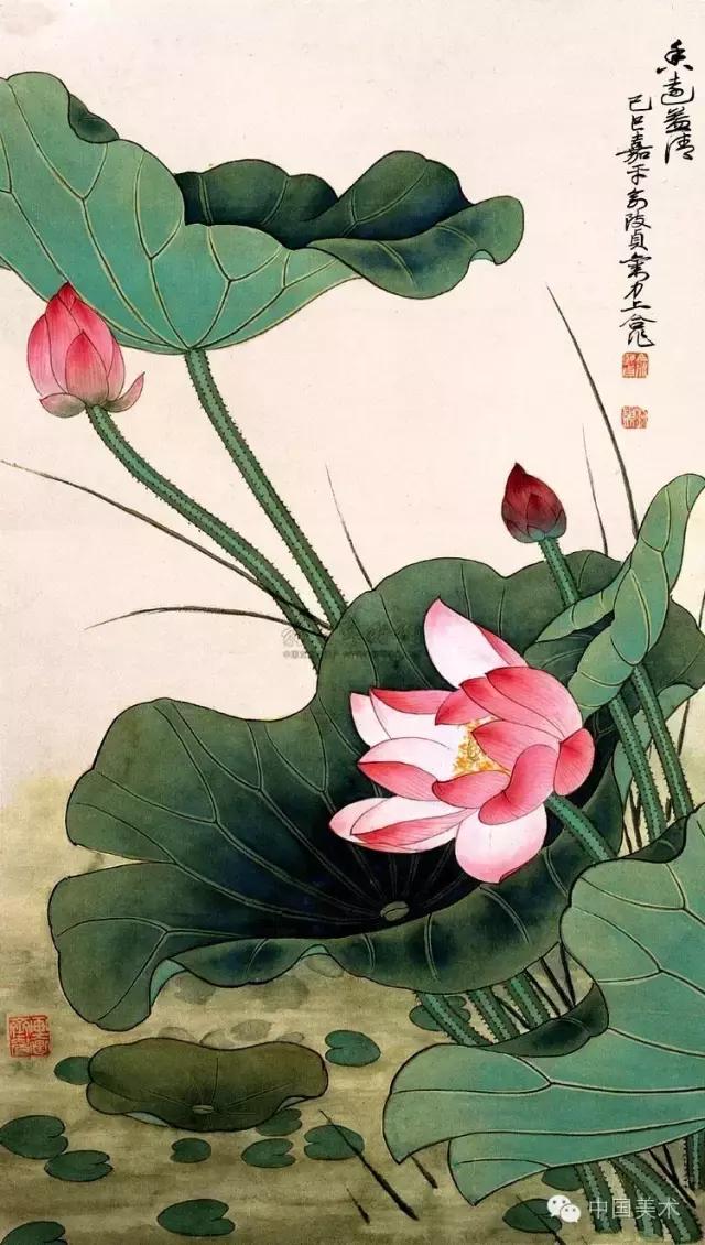 俞致贞画荷，清秀怡人，飘香万里！