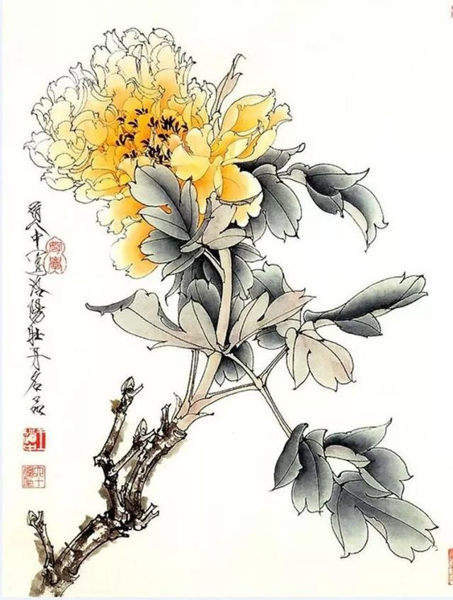 花卉百态｜王道中：我如何画工笔牡丹