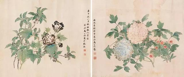 马家桐｜齐白石笔下的草虫多借鉴于他