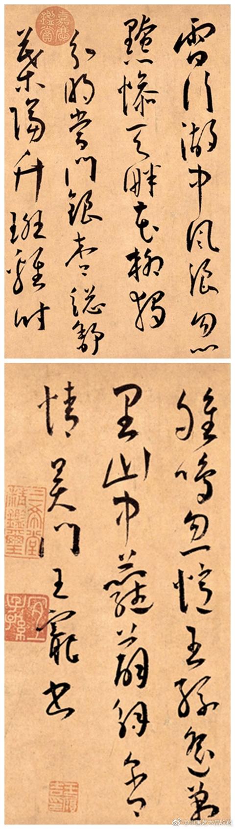 “以拙取巧”的王宠——草书欣赏