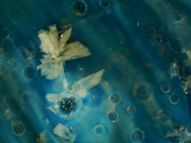 古陶瓷3种老化痕迹特征的鉴定