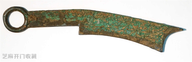 玩钱币的男人,究竟有何“隐藏魅力”?