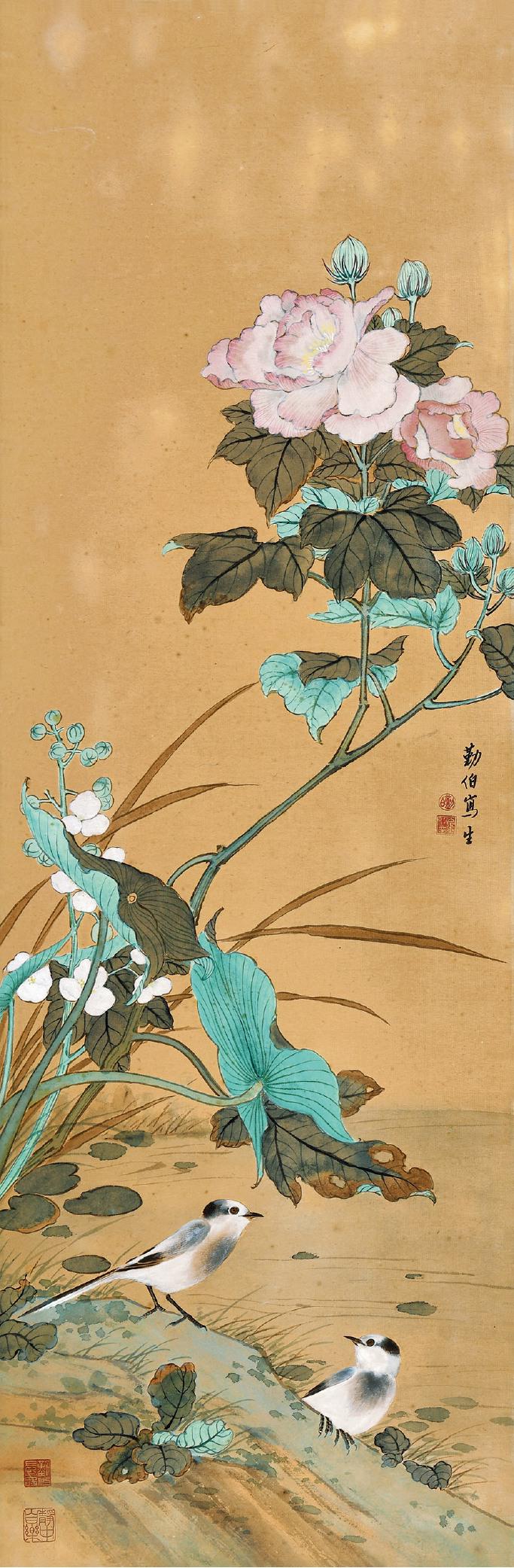 金勤伯 芙蓉鹡鸰  